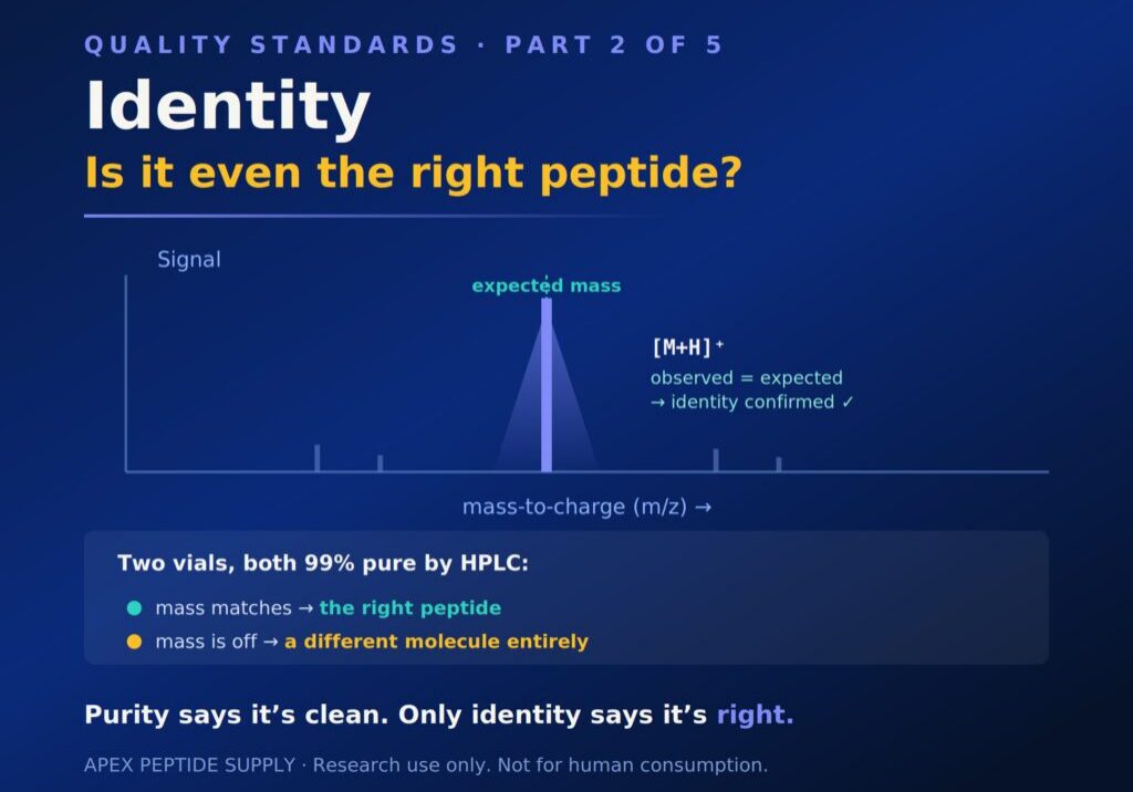Peptide identity research infographic showing a mass spectrometry peak matching the expected mass to confirm identity — Apex Peptide Research Series Part 2 of 5